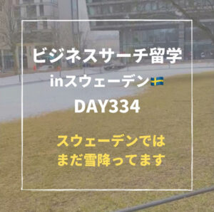 ビジネスサーチ留学inスウェーデン334日目