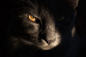 ワーキングホリデー国一覧を徹底解説する理由とは？
